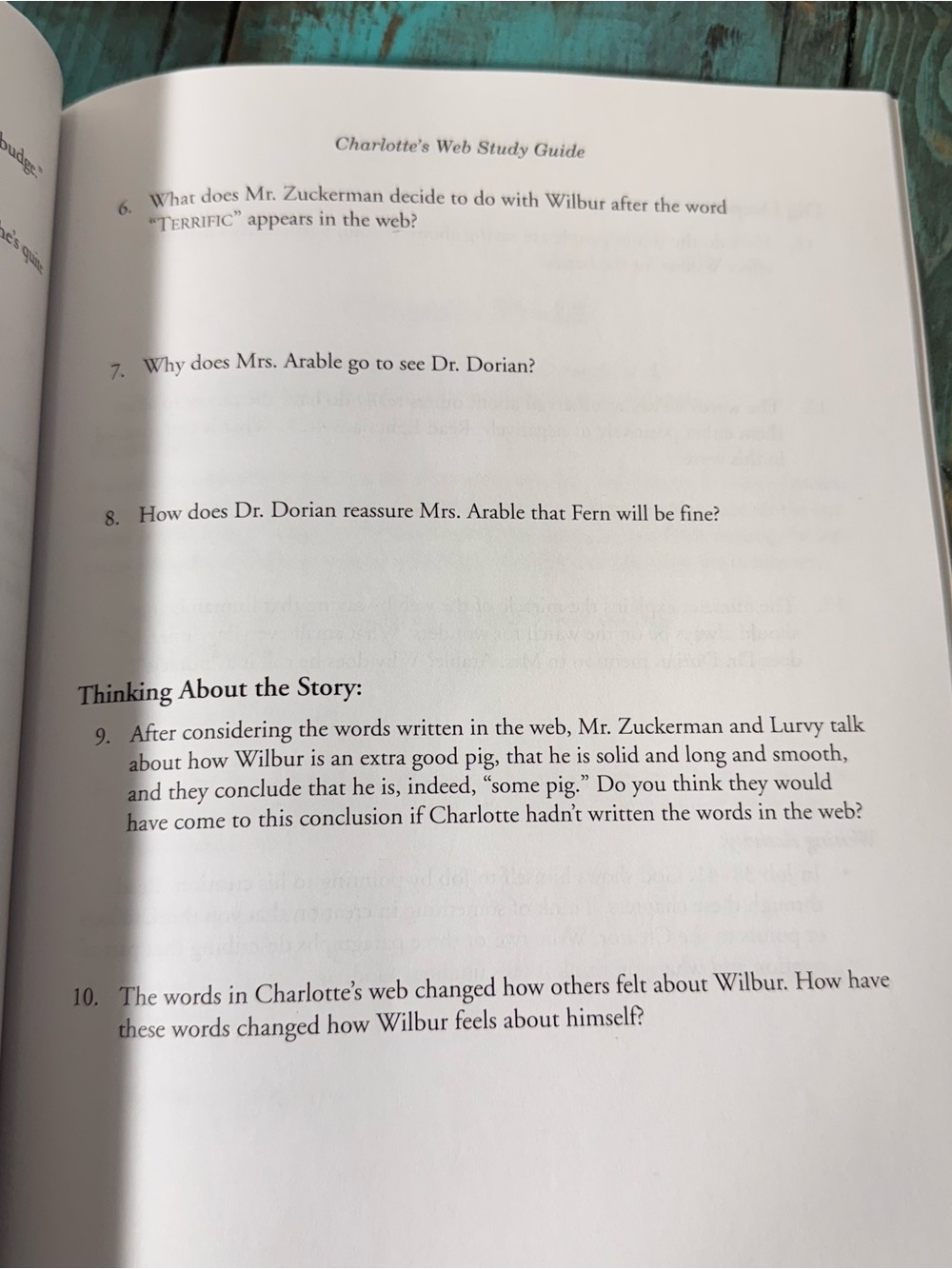 Charlotte's Web Study Guide NEW - Picture 7 of 7